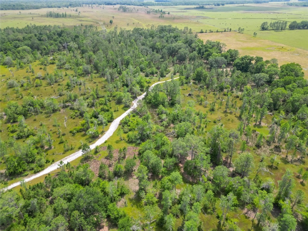 Van Fleet Road Polk City FL 33868 TB8380979 image28