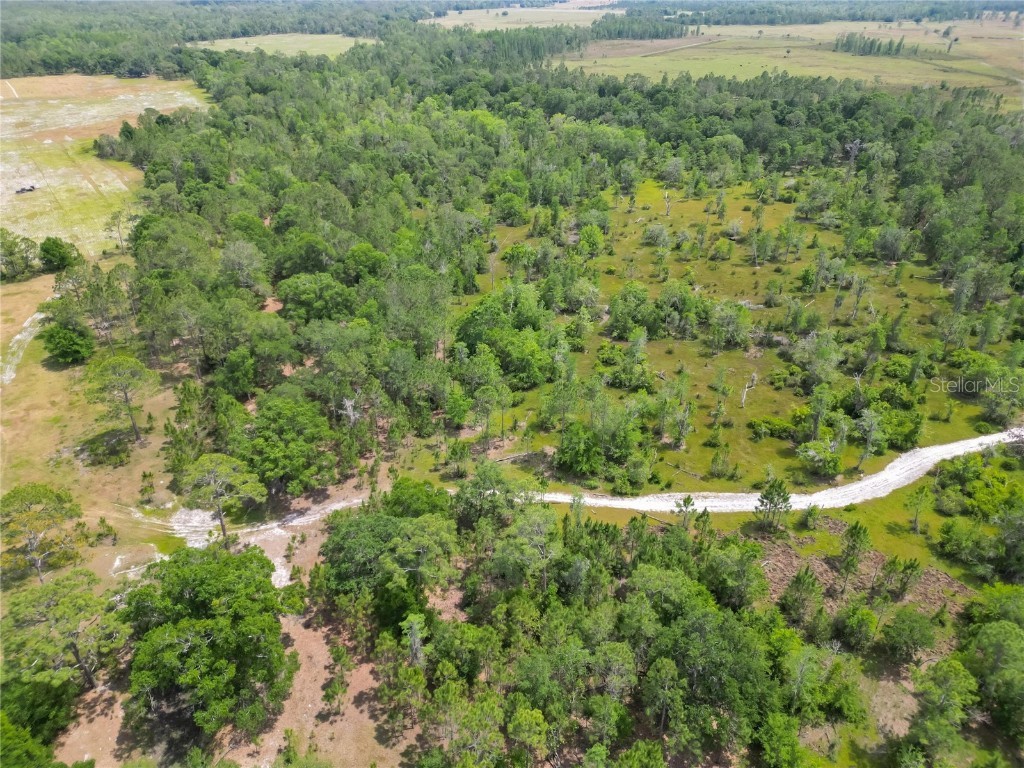 Van Fleet Road Polk City FL 33868 TB8380979 image29