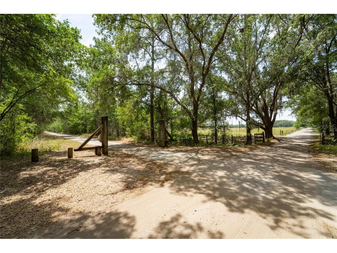 Van Fleet Road Polk City FL 33868 TB8380979 image3