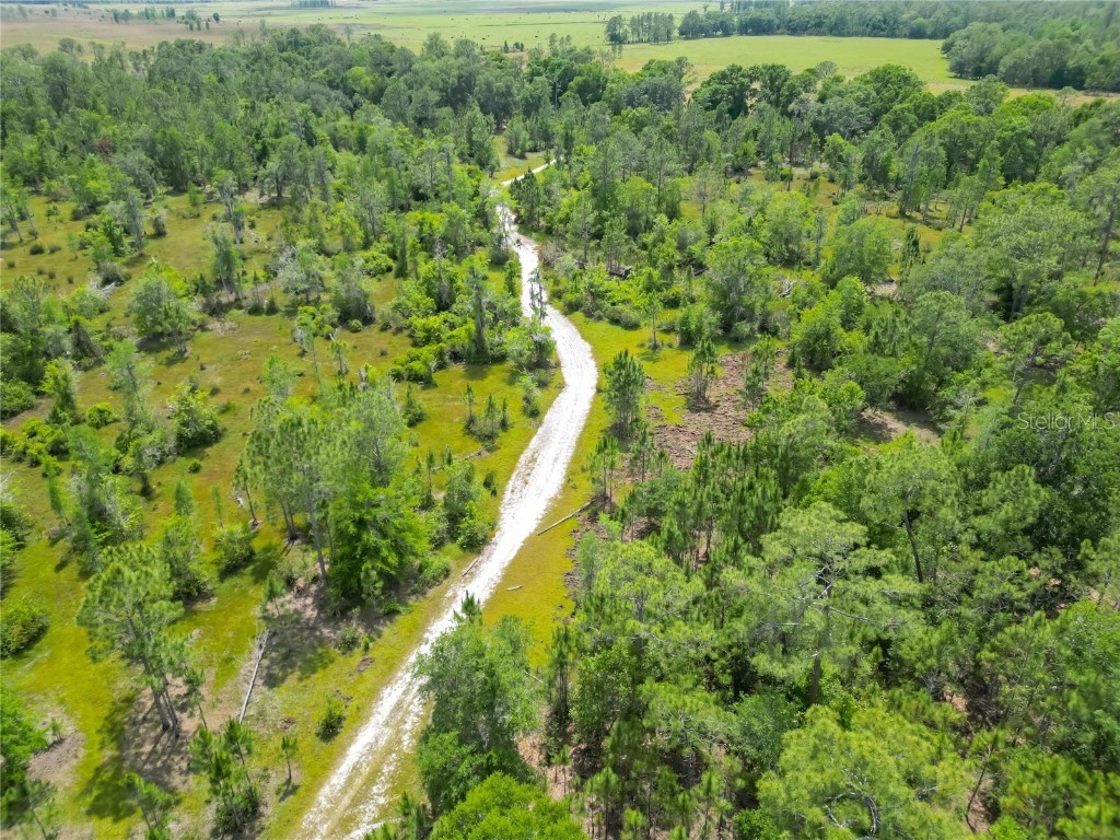 Van Fleet Road Polk City FL 33868 TB8380979 image30
