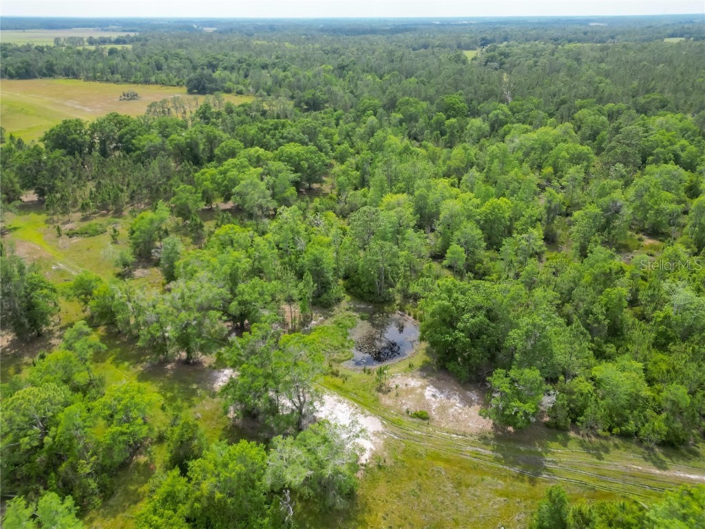 Van Fleet Road Polk City FL 33868 TB8380979 image31