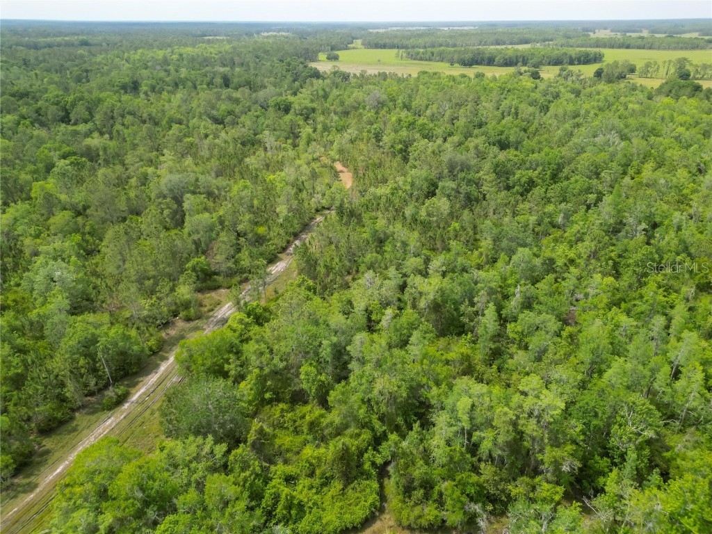 Van Fleet Road Polk City FL 33868 TB8380979 image32