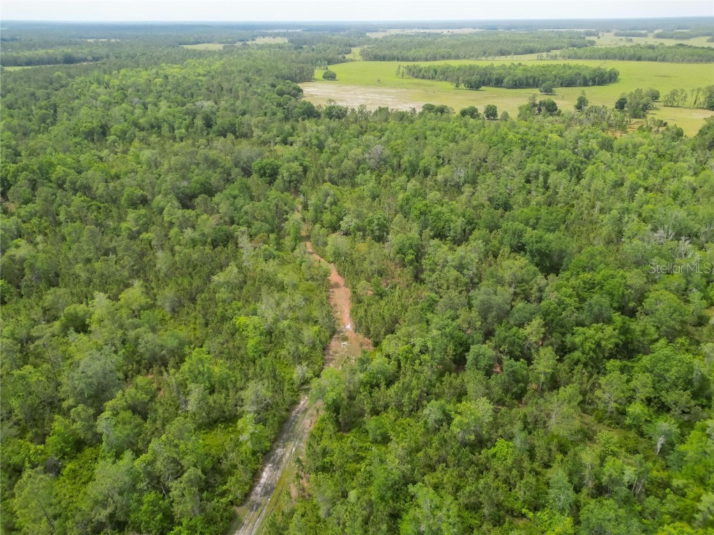 Van Fleet Road Polk City FL 33868 TB8380979 image33