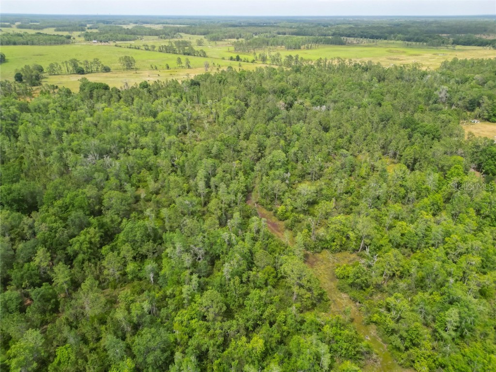 Van Fleet Road Polk City FL 33868 TB8380979 image34