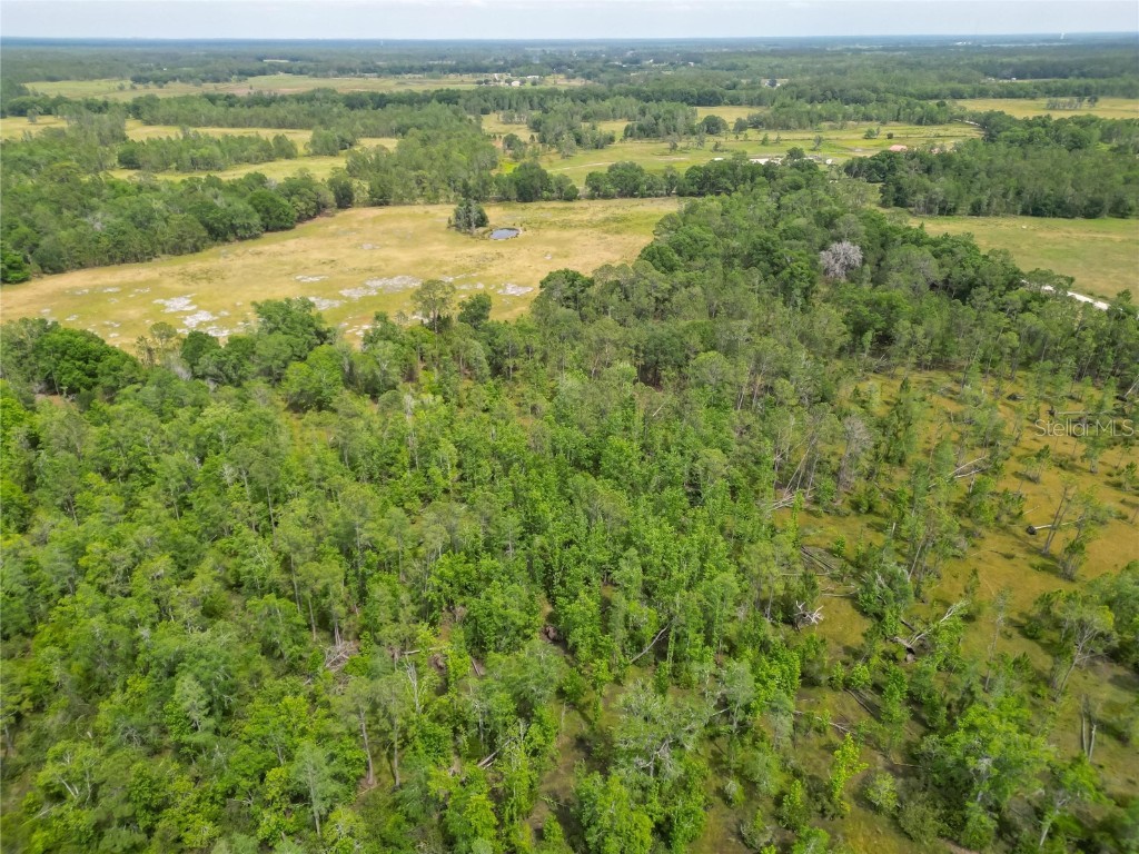Van Fleet Road Polk City FL 33868 TB8380979 image35