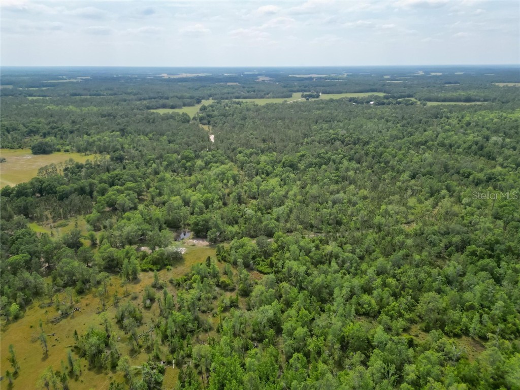 Van Fleet Road Polk City FL 33868 TB8380979 image36