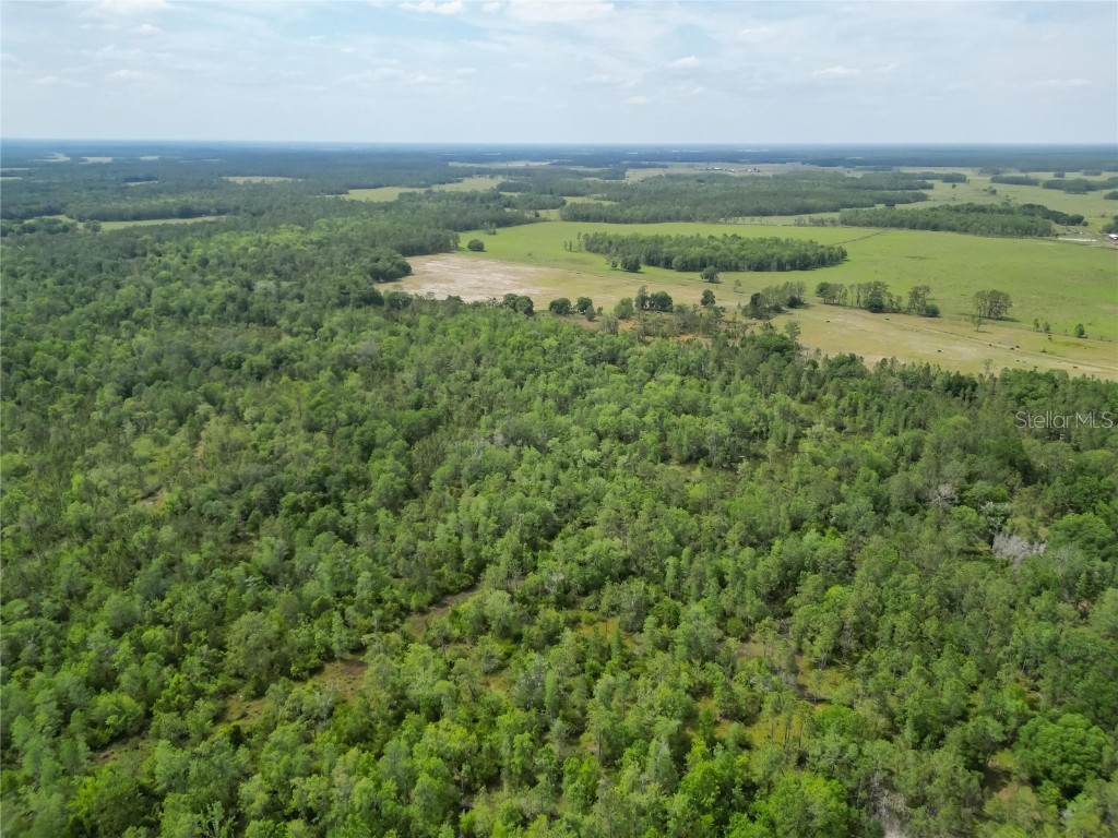 Van Fleet Road Polk City FL 33868 TB8380979 image37