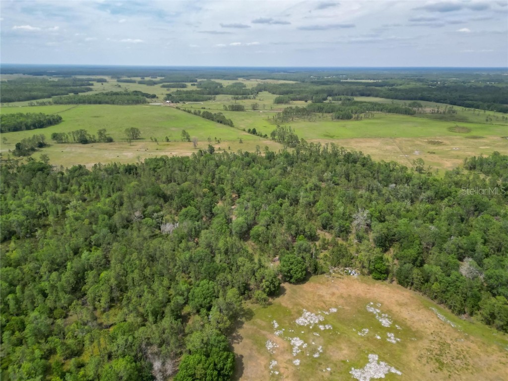 Van Fleet Road Polk City FL 33868 TB8380979 image38