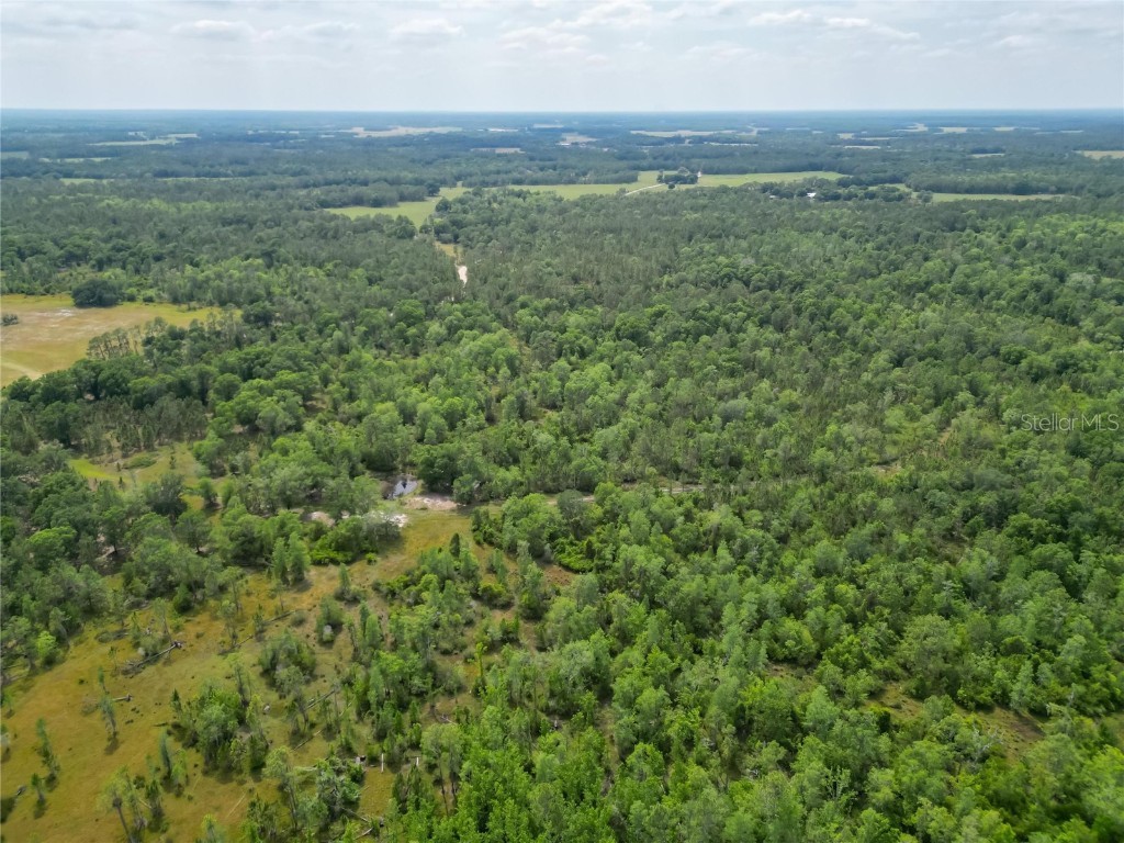 Van Fleet Road Polk City FL 33868 TB8380979 image39