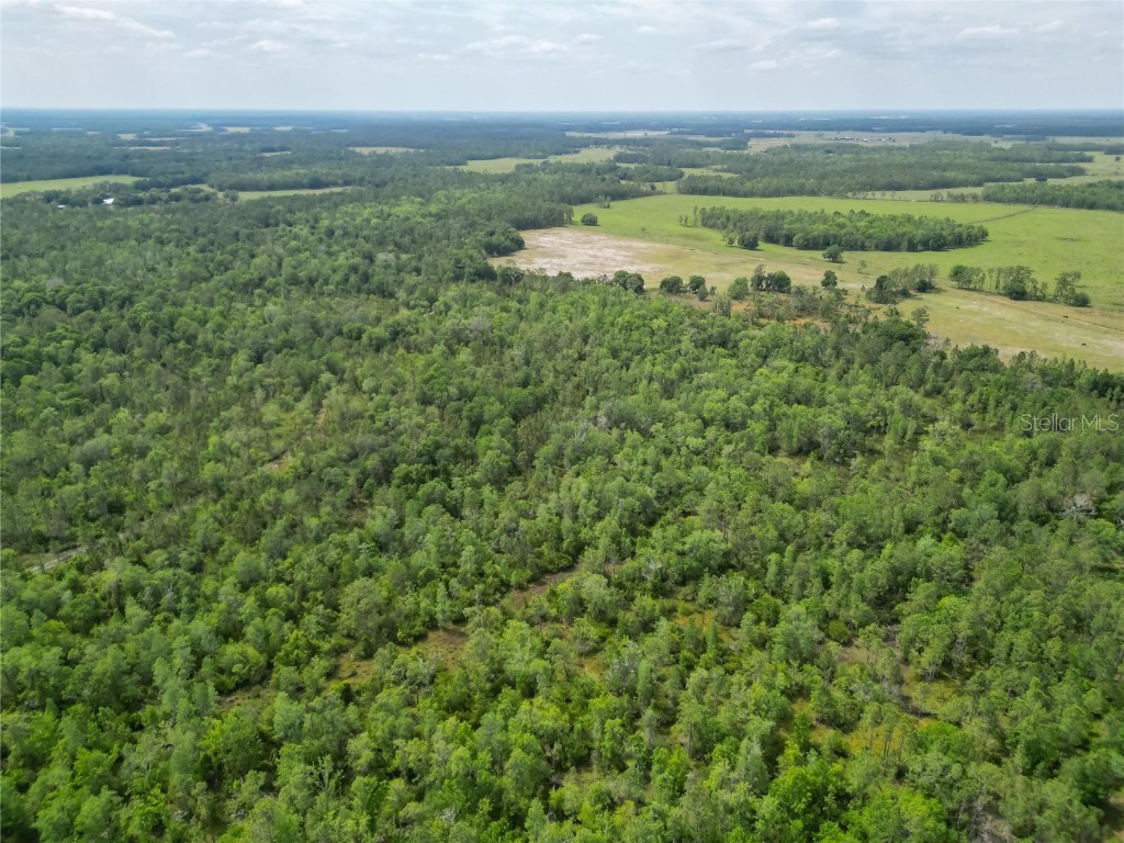 Van Fleet Road Polk City FL 33868 TB8380979 image40