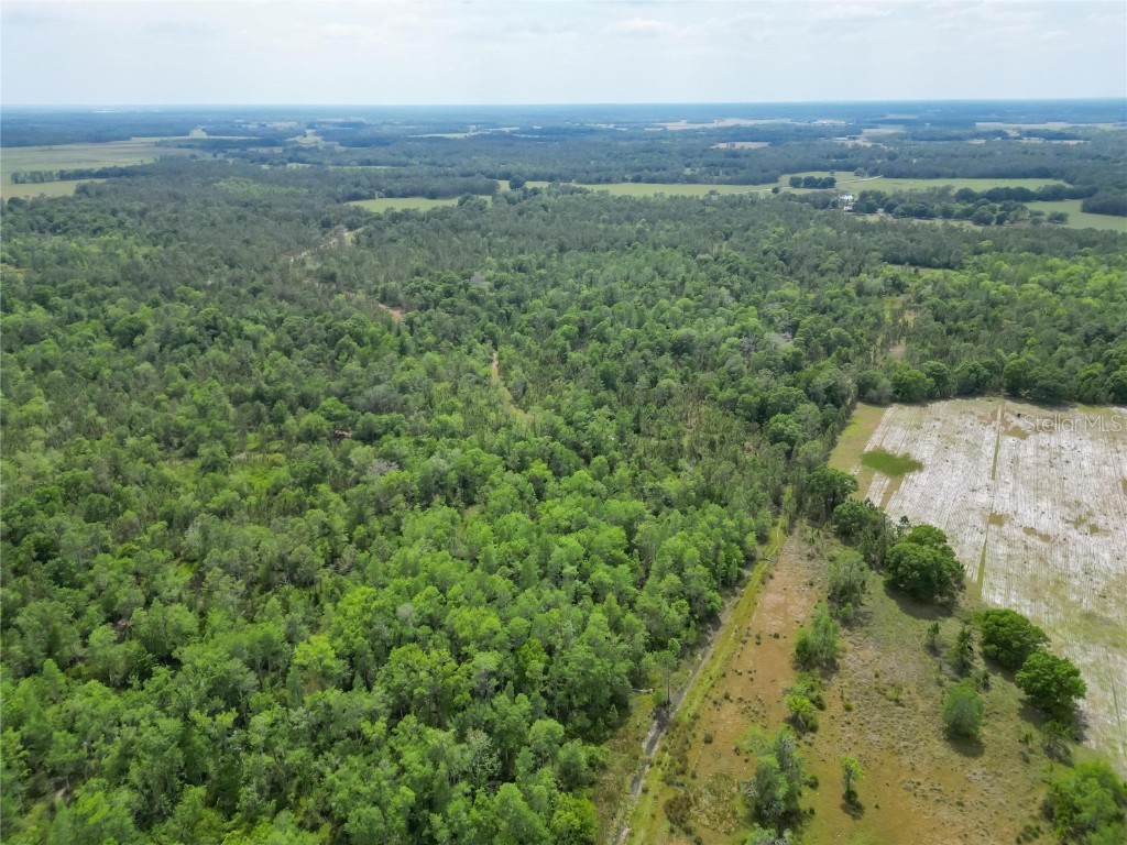 Van Fleet Road Polk City FL 33868 TB8380979 image41