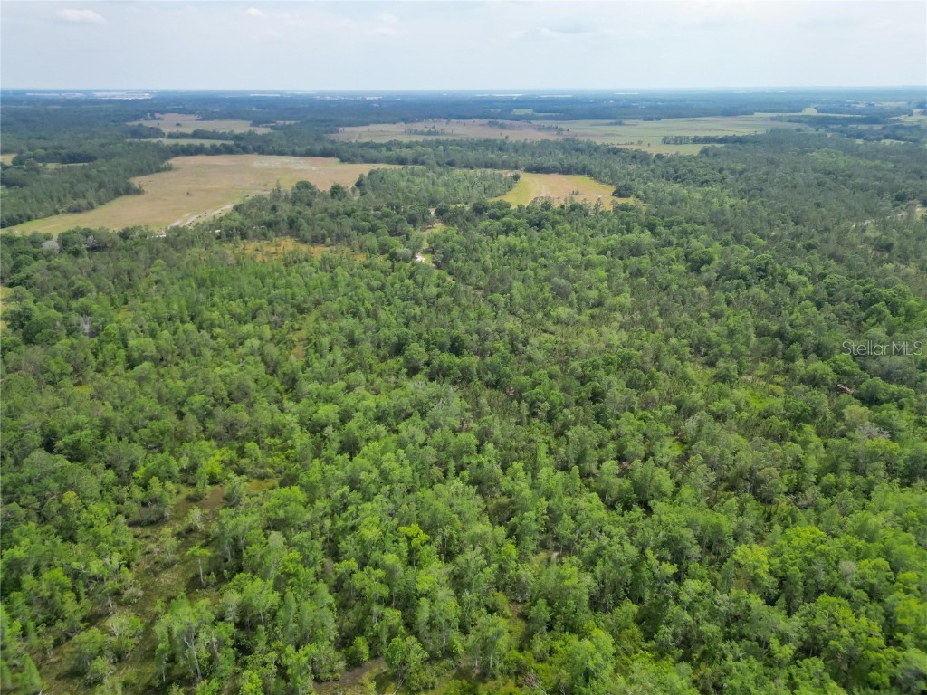 Van Fleet Road Polk City FL 33868 TB8380979 image42