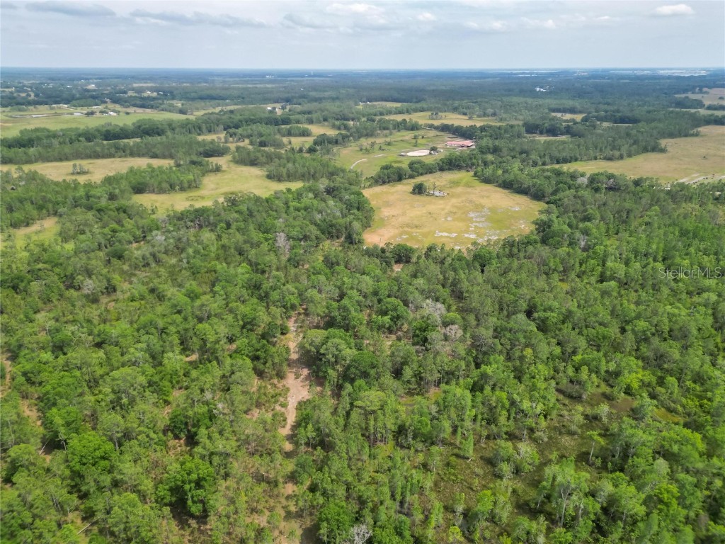 Van Fleet Road Polk City FL 33868 TB8380979 image43