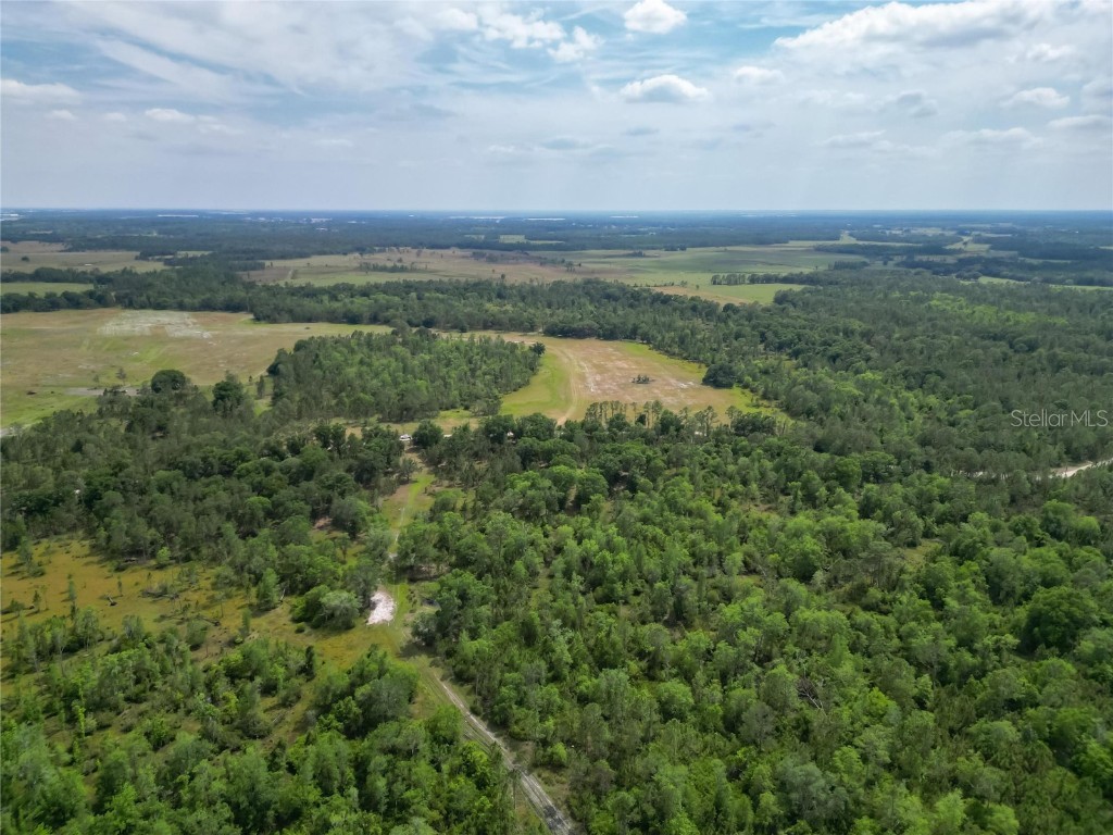 Van Fleet Road Polk City FL 33868 TB8380979 image48