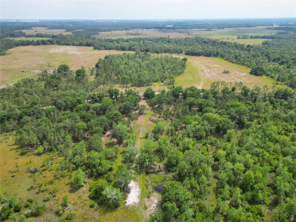 Van Fleet Road Polk City FL 33868 TB8380979 image49