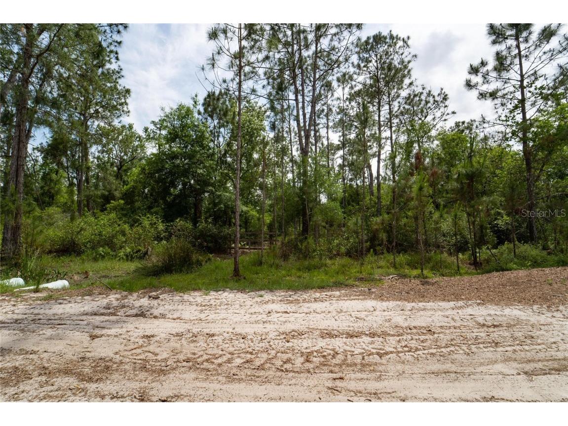 Van Fleet Road Polk City FL 33868 TB8380979 image5