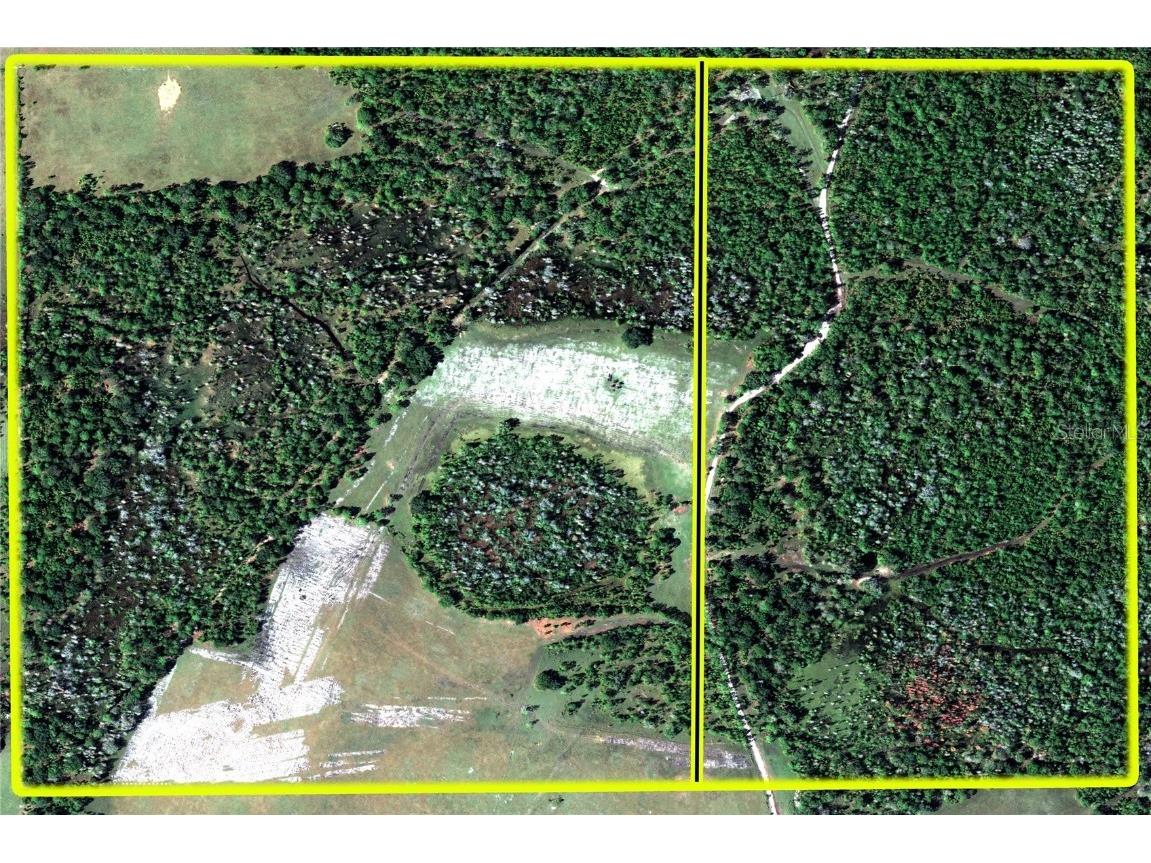 Van Fleet Road Polk City FL 33868 TB8380979 image51