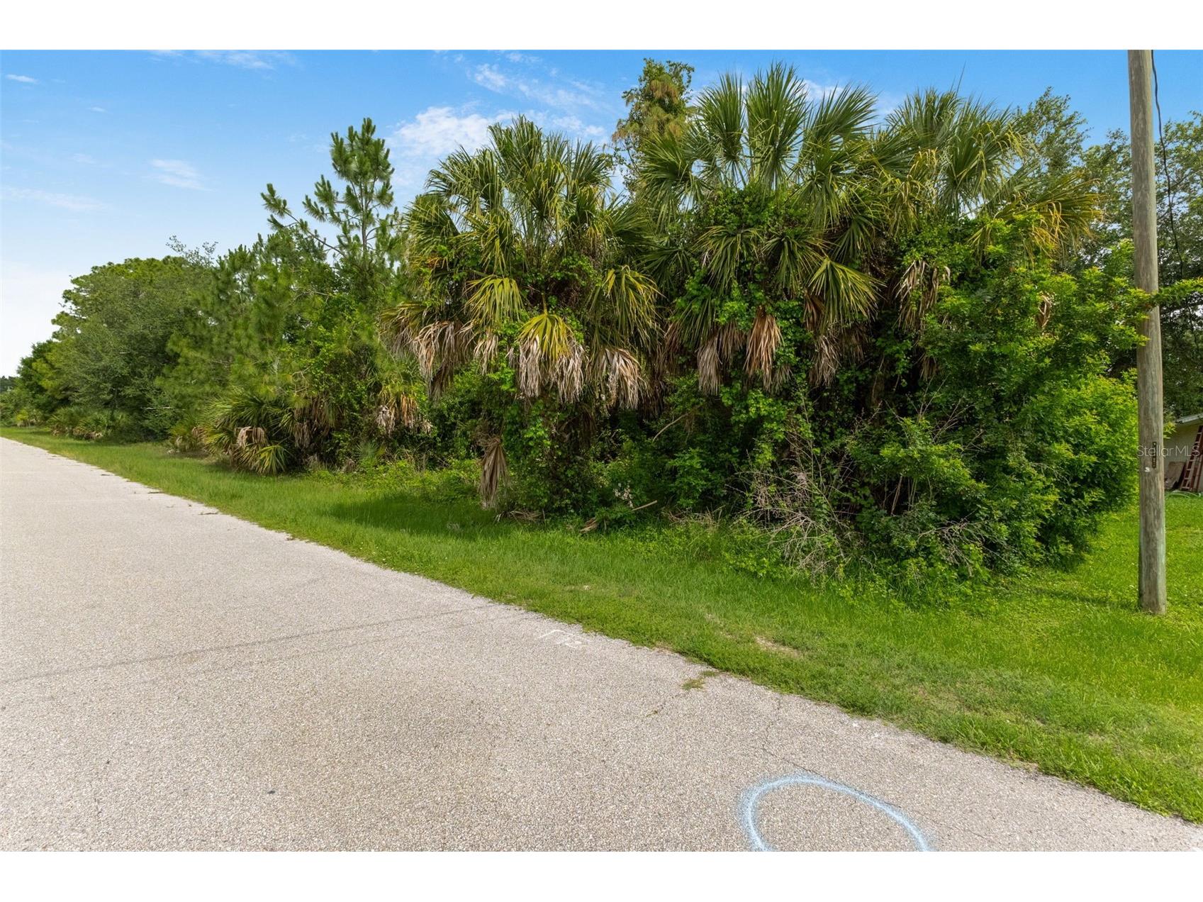 Van Leer Avenue North Port FL 34288 A4695062 image13