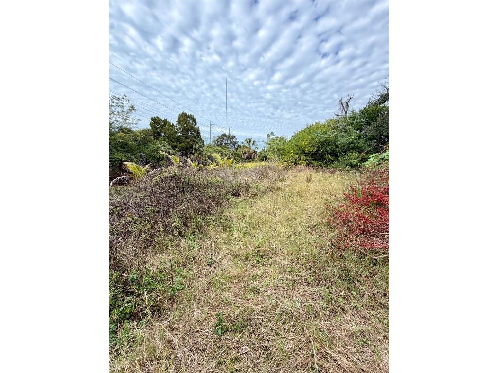 Vancant Land Holiday FL 34691 TB8458770 image11