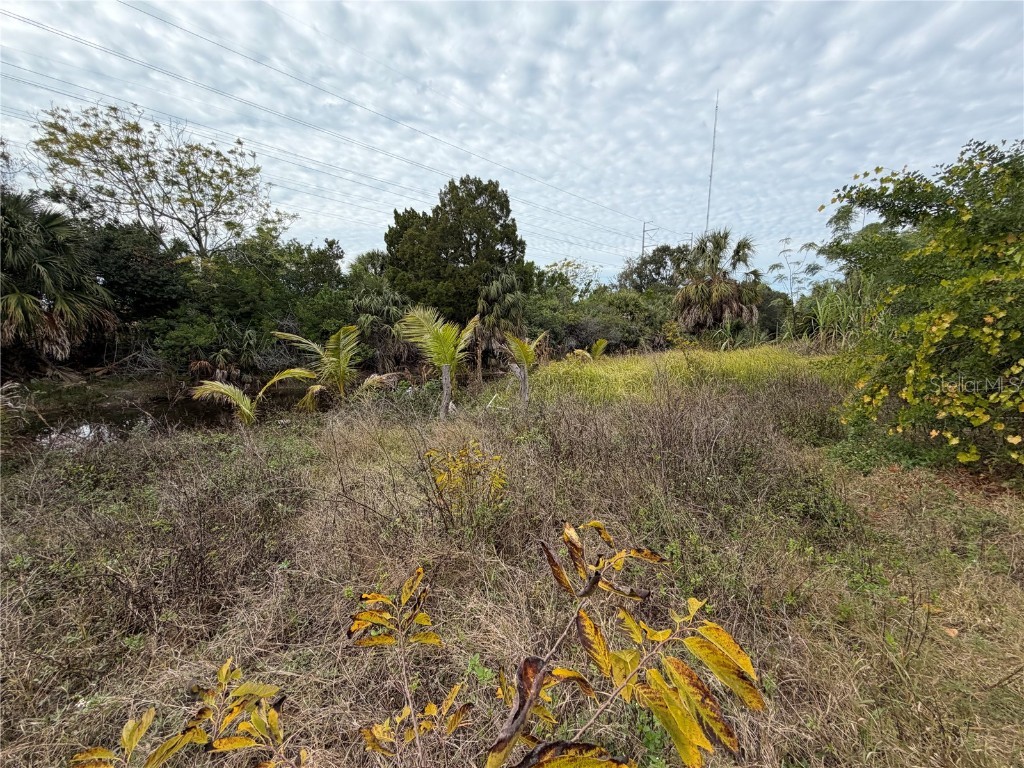 Vancant Land Holiday FL 34691 TB8458770 image12
