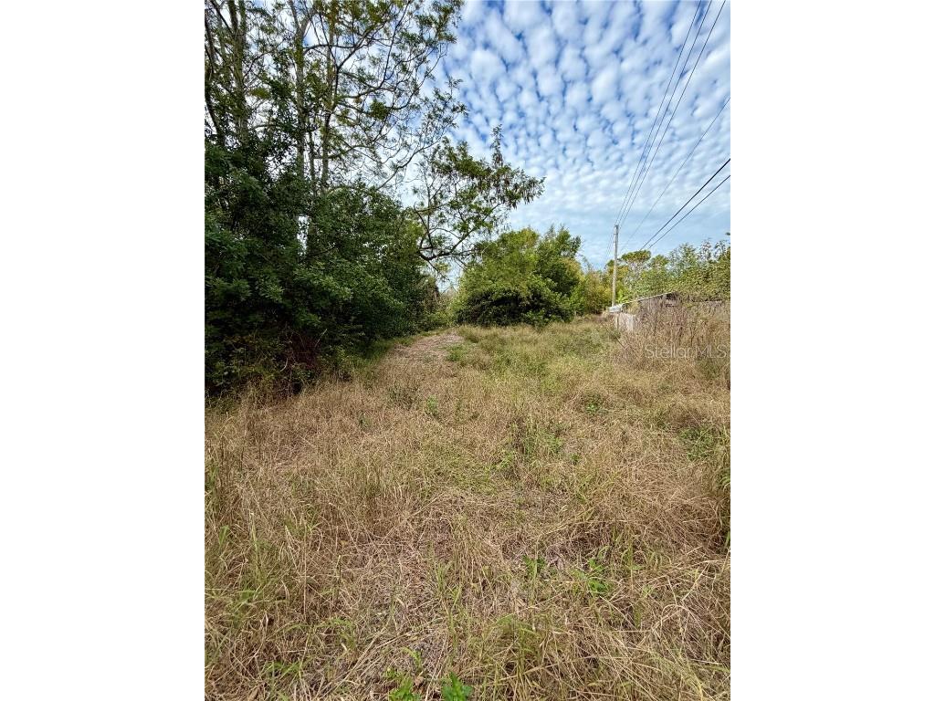 Vancant Land Holiday FL 34691 TB8458770 image9