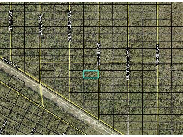 Vaughn Avenue Hastings FL 32145 FC291764 image1