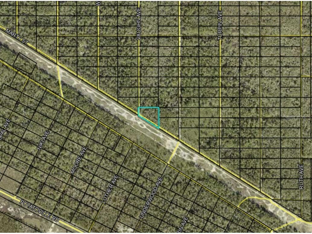 Vaughn Avenue Hastings FL 32145 FC299393 image1