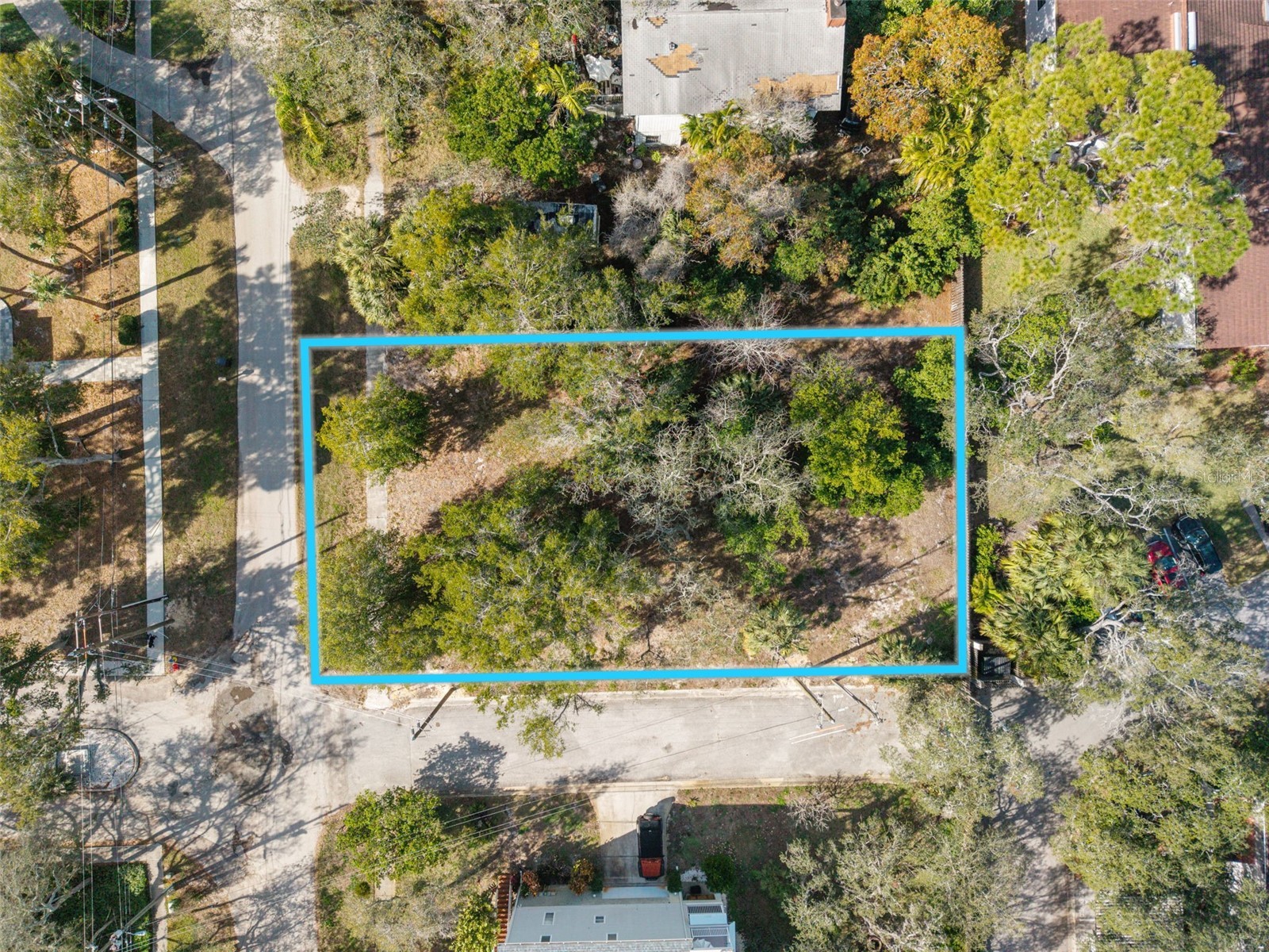 Ventnor Avenue Tarpon Springs FL 34689 TB8465693 image4