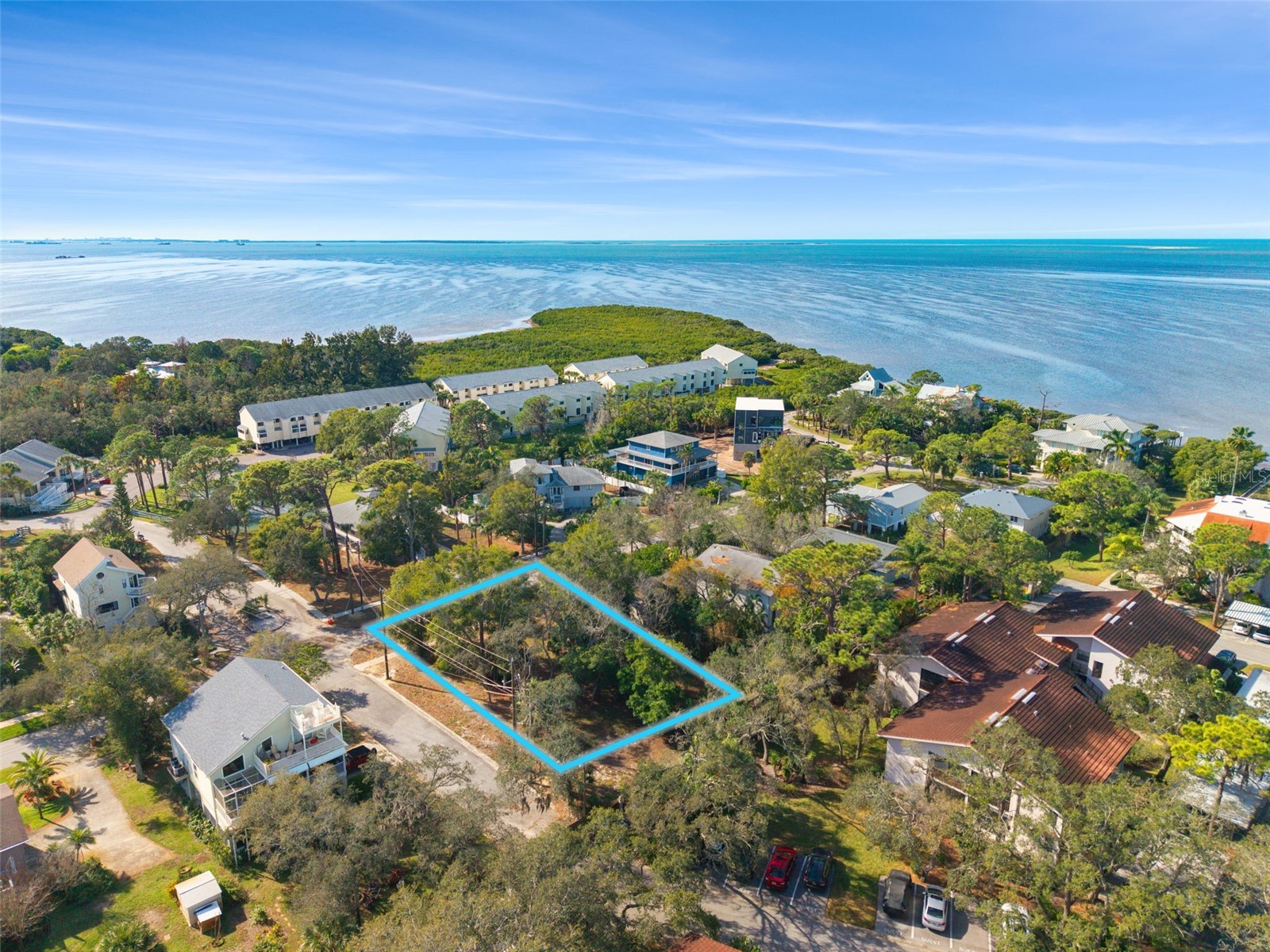 Ventnor Avenue Tarpon Springs FL 34689 TB8465693 image5