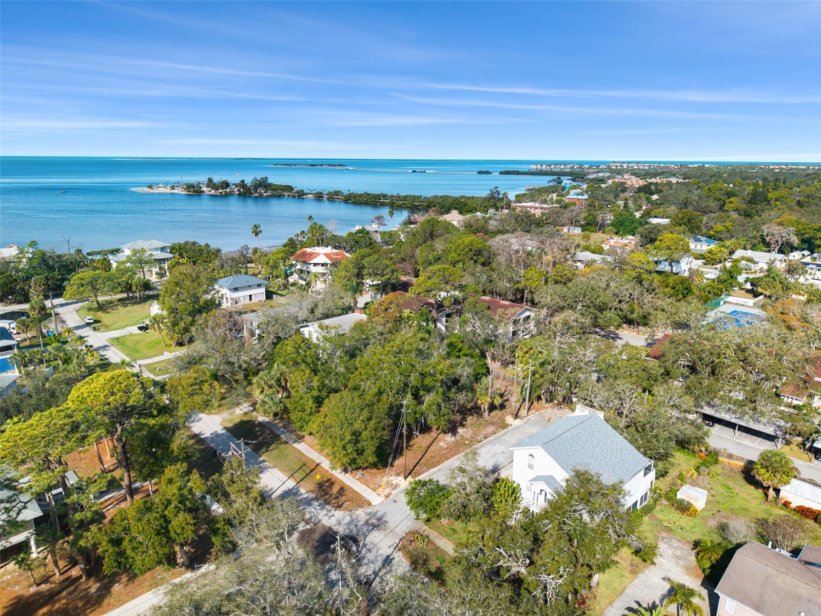 Ventnor Avenue Tarpon Springs FL 34689 TB8465693 image6