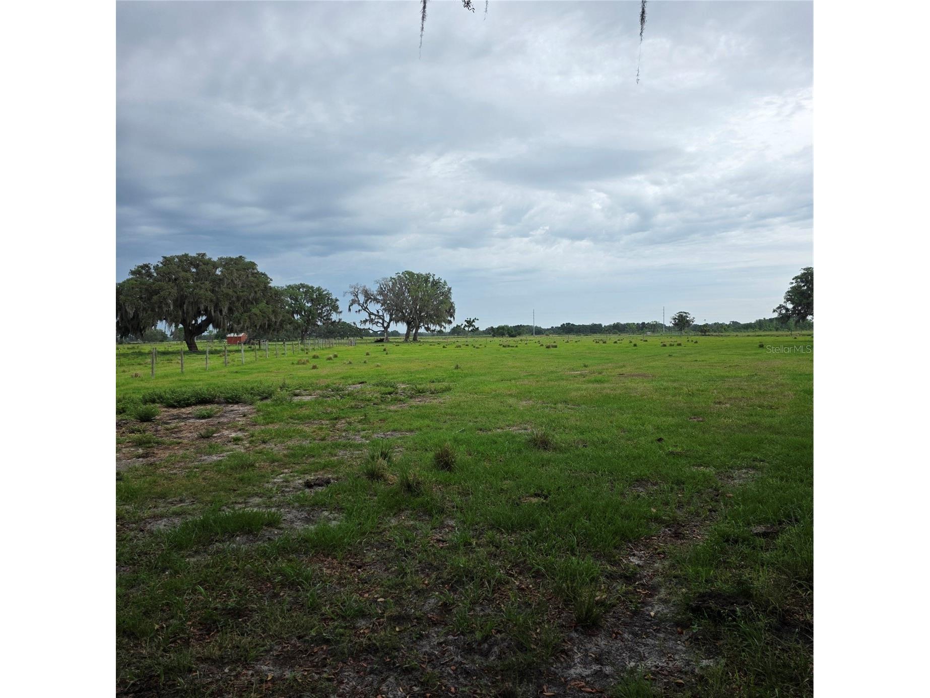 Vernon Dairy Spring Hill FL 34610 TB8512073 image1