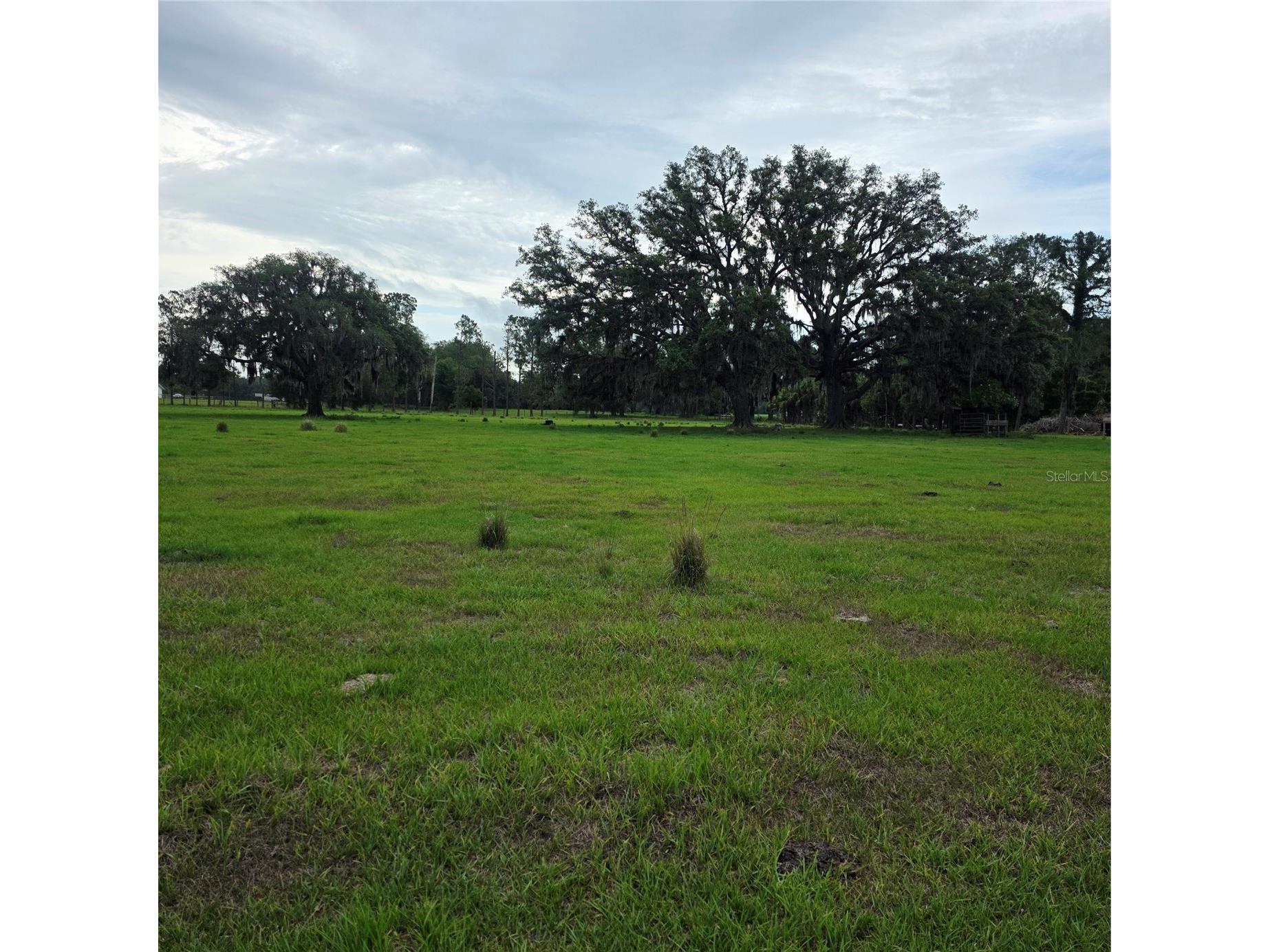Vernon Dairy Spring Hill FL 34610 TB8512073 image2