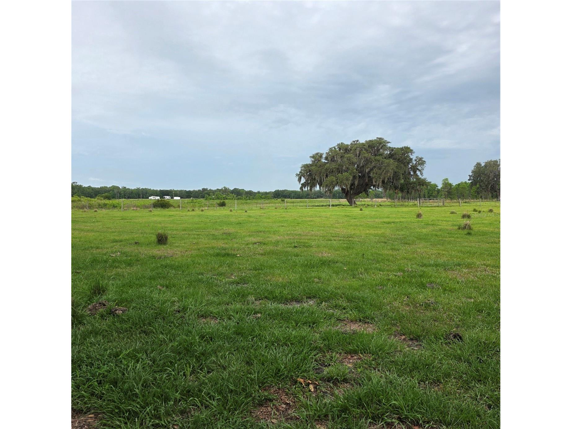 Vernon Dairy Spring Hill FL 34610 TB8512073 image3