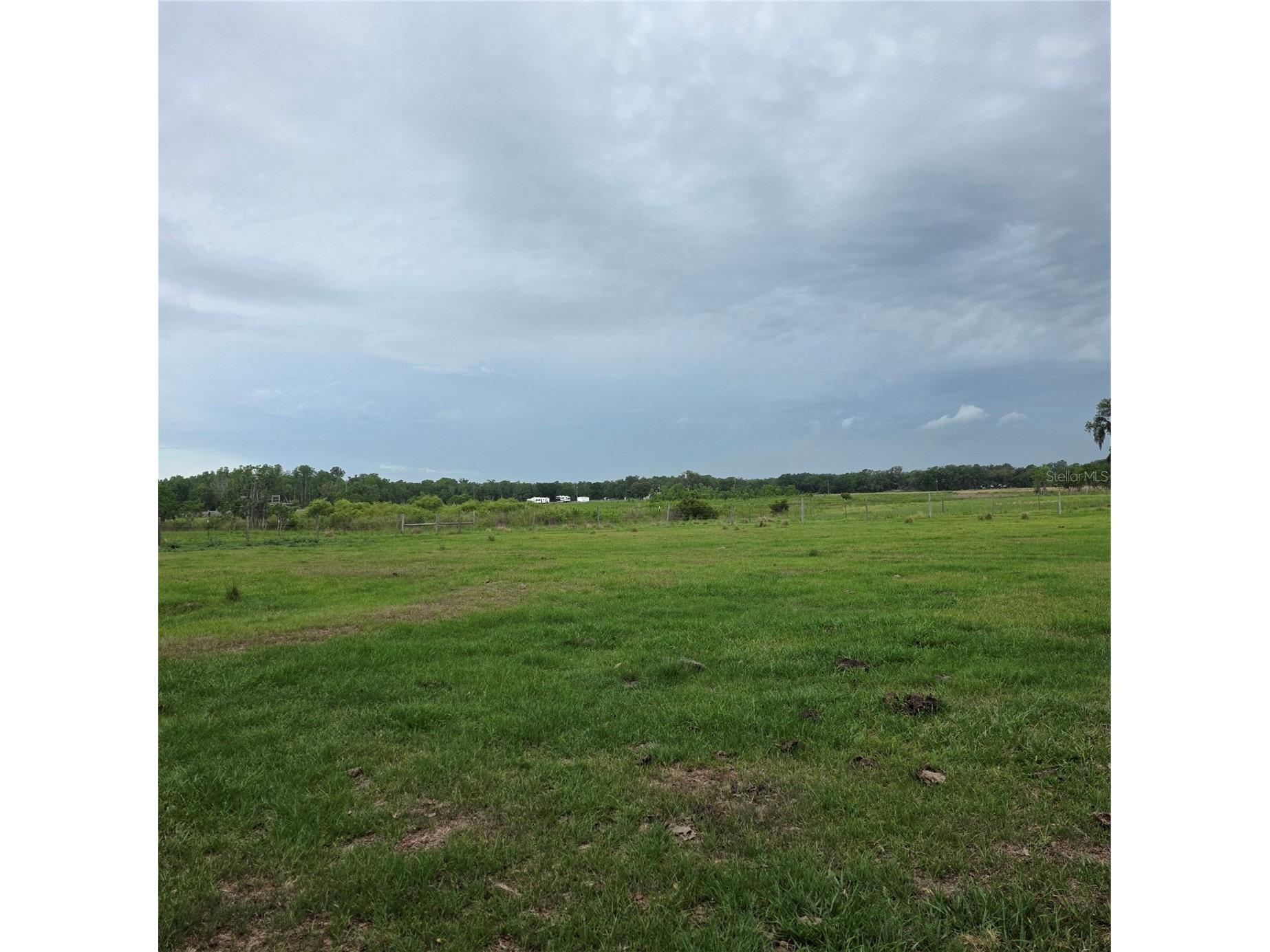 Vernon Dairy Spring Hill FL 34610 TB8512073 image4