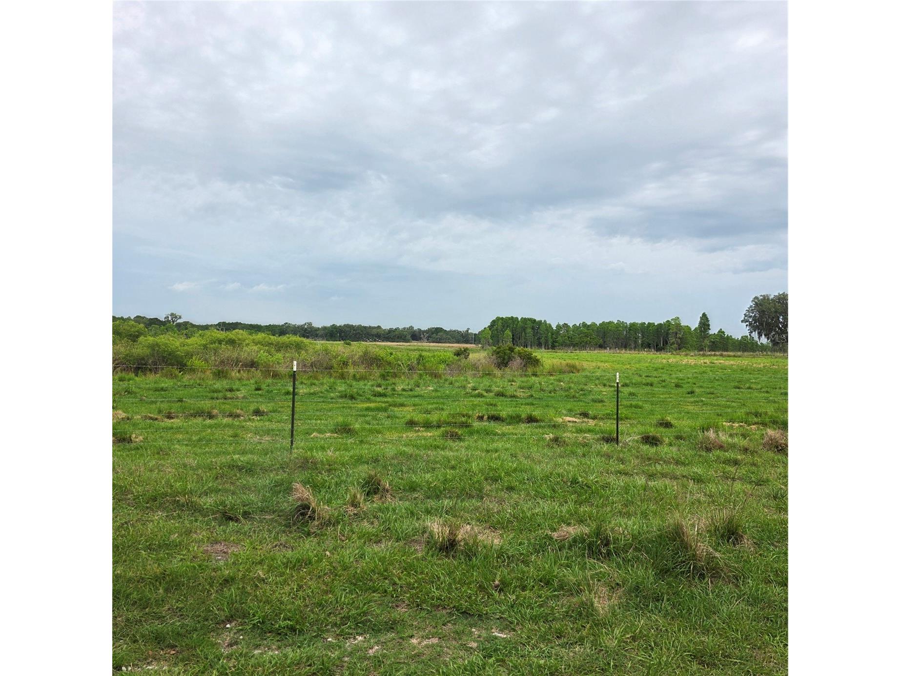 Vernon Dairy Spring Hill FL 34610 TB8512073 image5