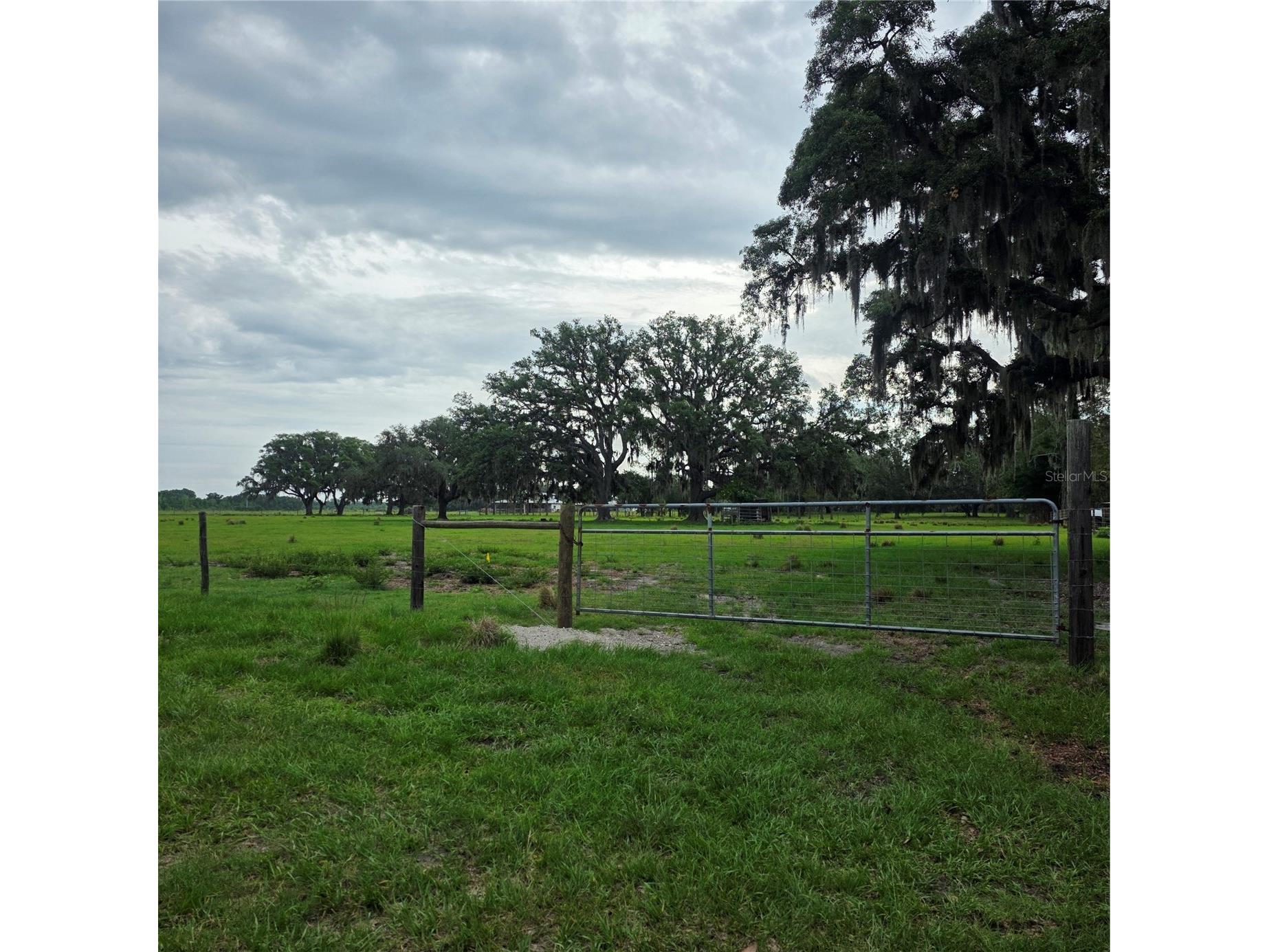 Vernon Dairy Spring Hill FL 34610 TB8512073 image6
