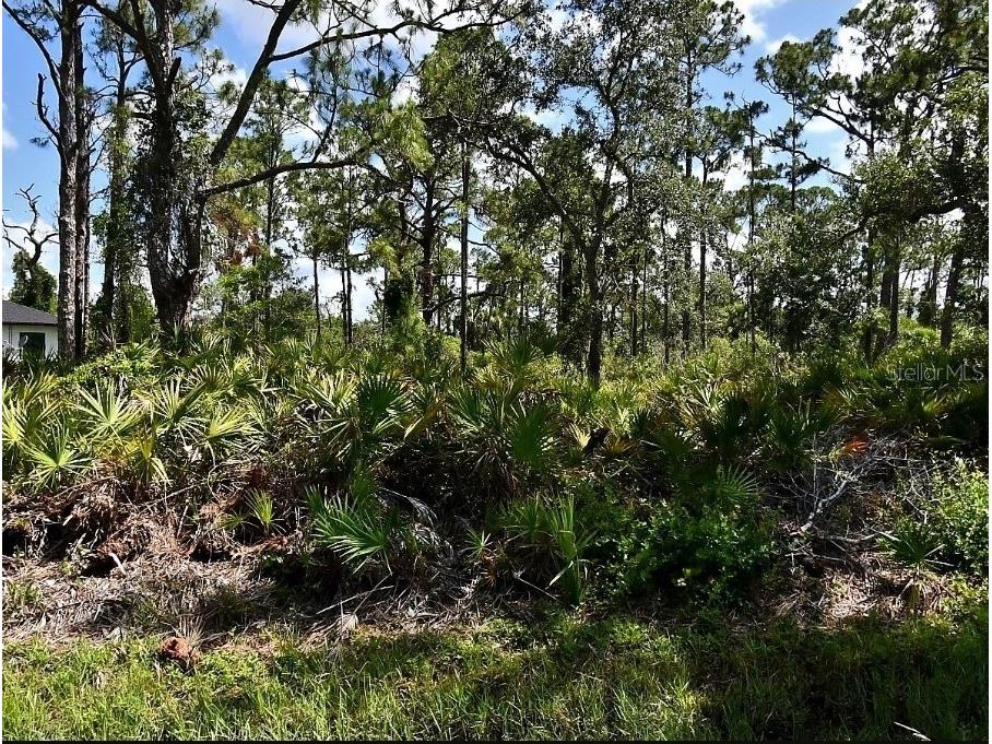 Vespucius Street North Port FL 34287 C7512656 image1