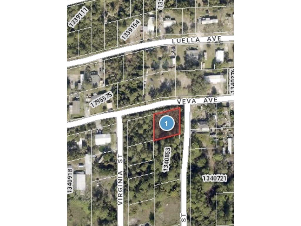 Veva Avenue Paisley FL 32767 O6169930 image1