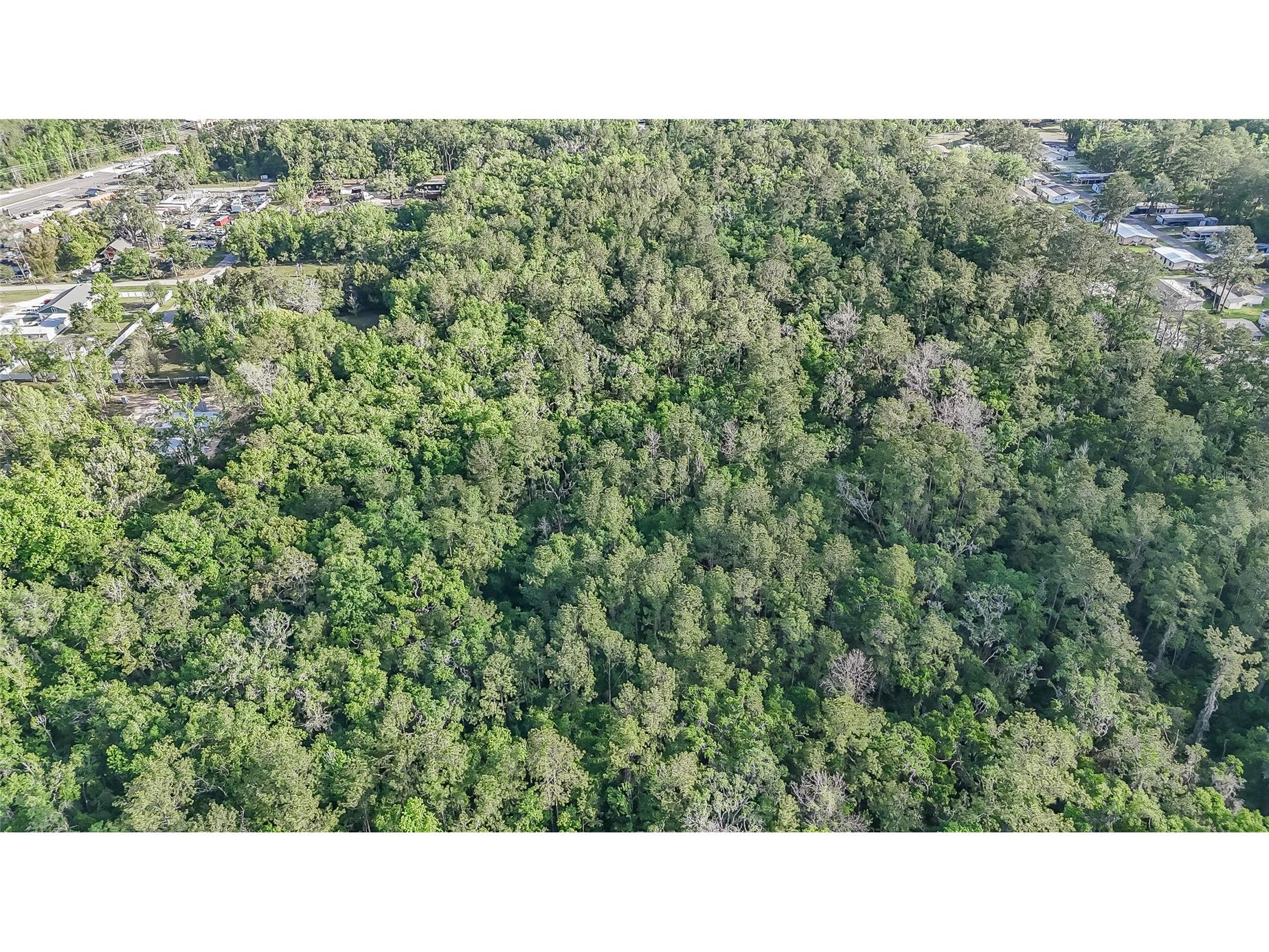Vfw Road Brooksville FL 34601 TB8493859 image3