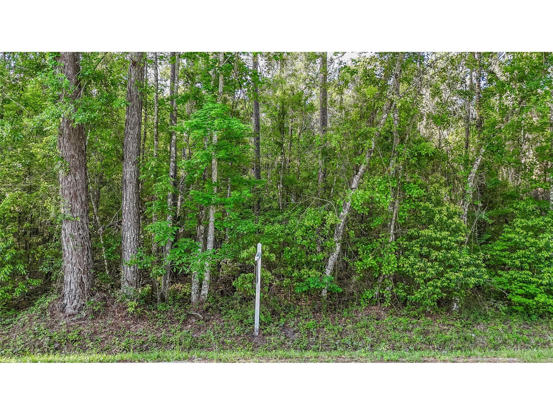 Vfw Road Brooksville FL 34601 TB8493859 image7