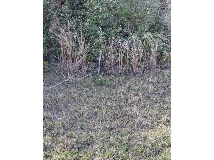 Victoria Parc Avenue Orange City FL 32763 V4941302 image3