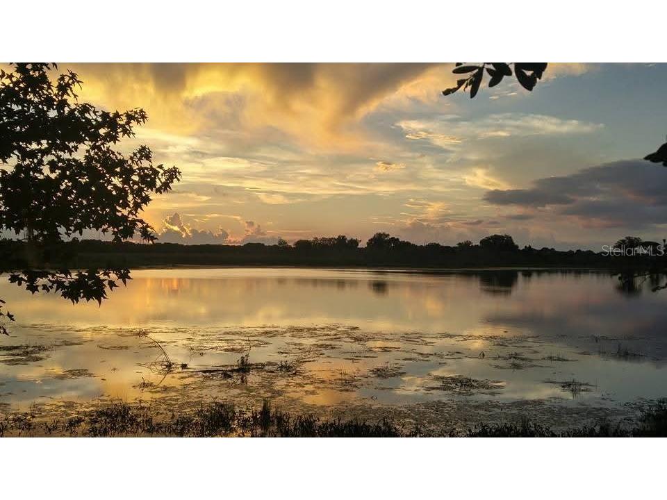 Villa City Road Groveland FL 34736 - DUKE'S LAKE O6315394 image1