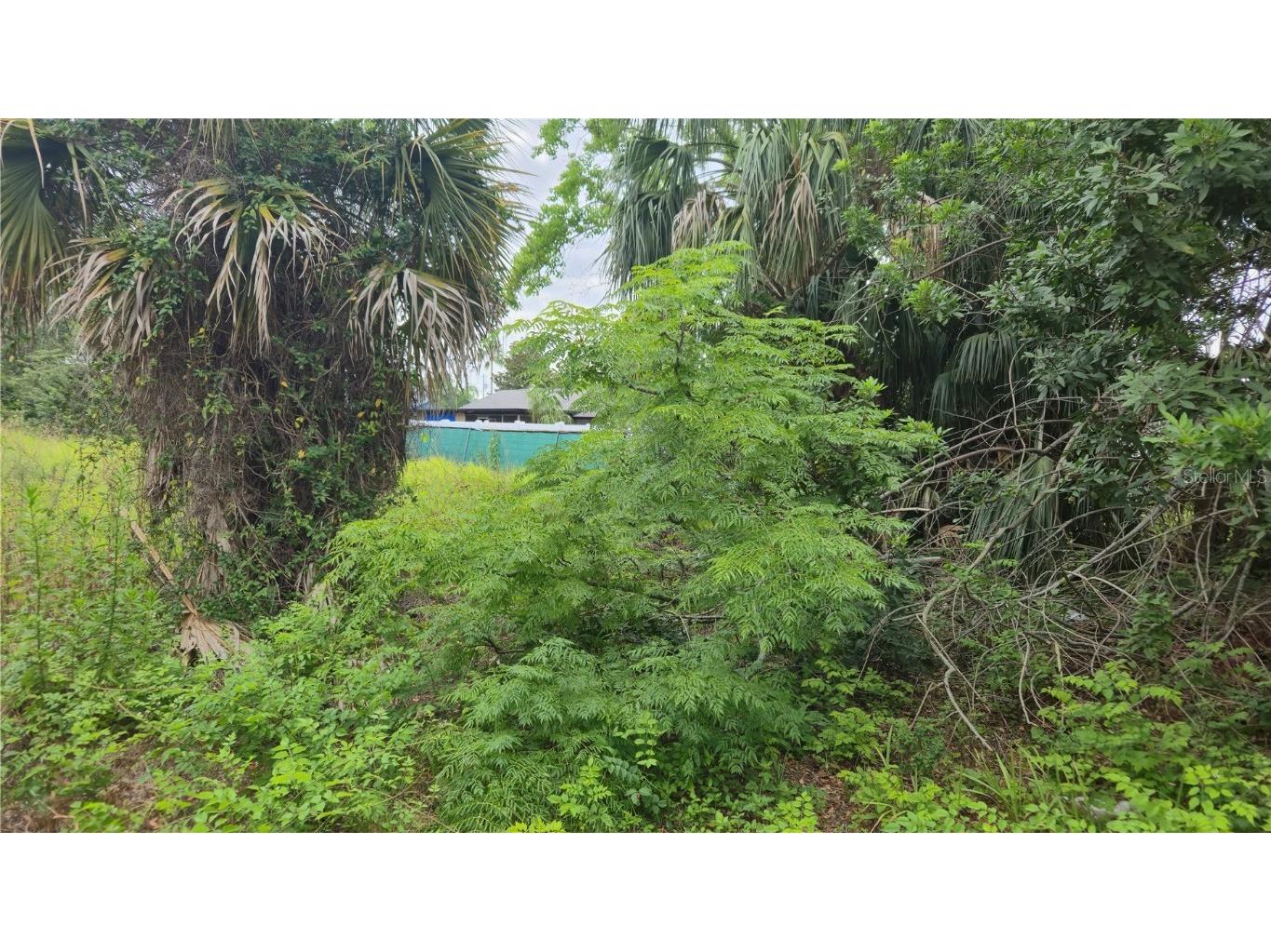 Villa Drive Hudson FL 34667 TB8423675 image4