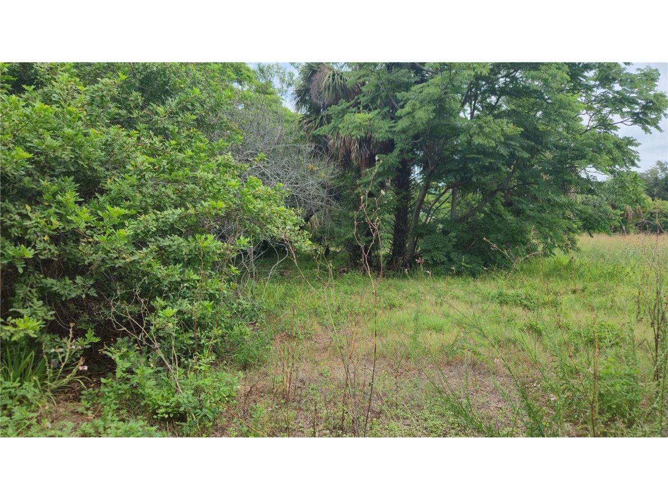Villa Drive Hudson FL 34667 TB8423675 image5