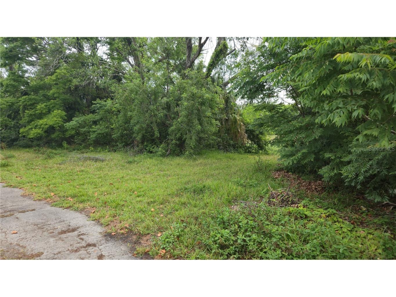 Villa Drive Hudson FL 34667 TB8423675 image9