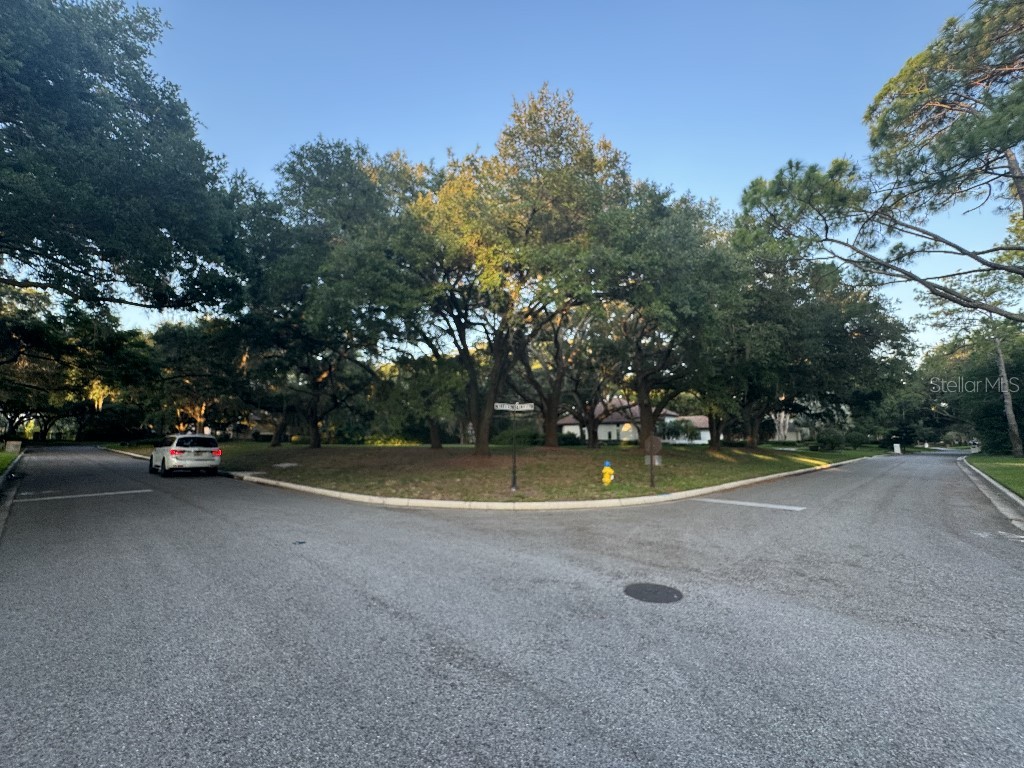 Villarreal De Avila Tampa FL 33613 T3529885 image1