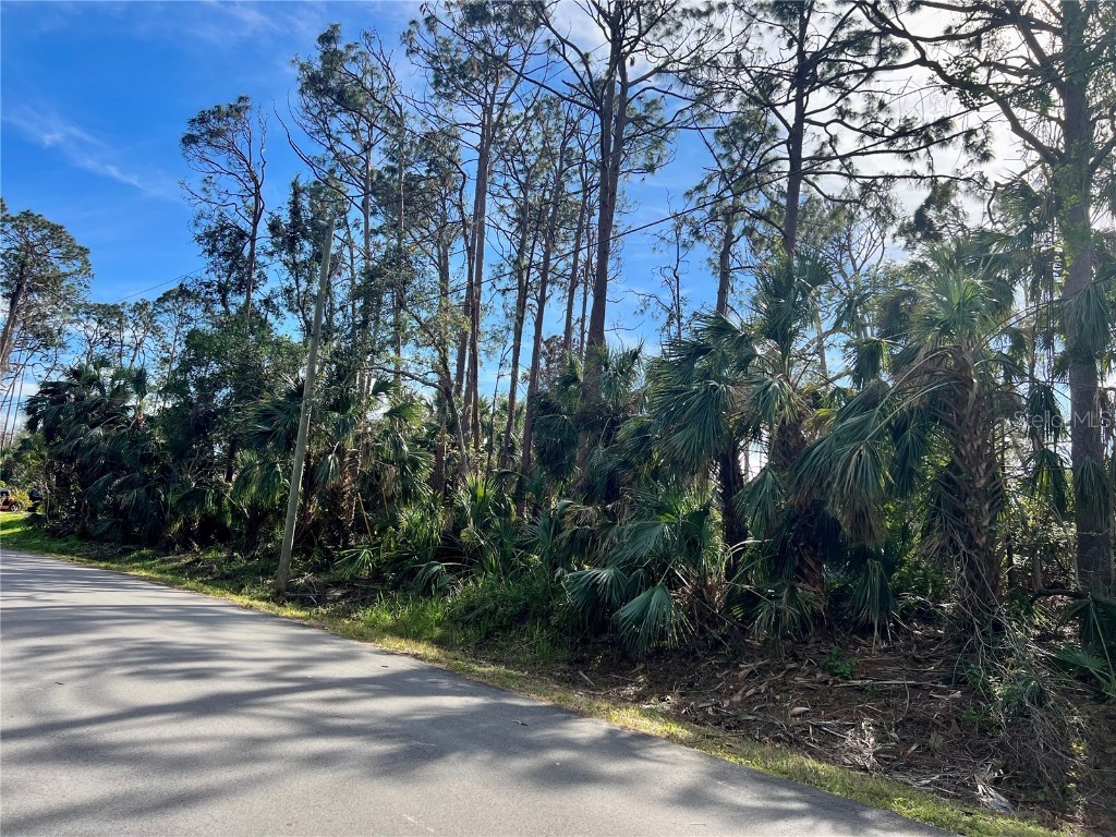 Vineland Ave #9 North Port FL 34286 A4557800 image1