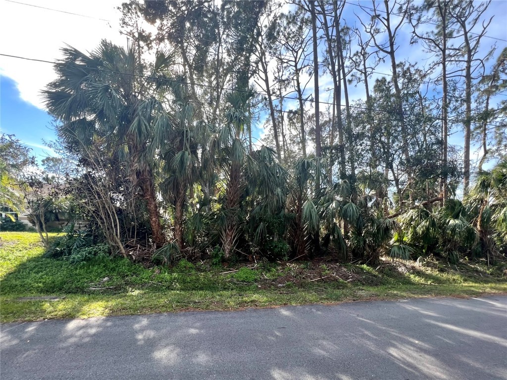 Vineland Ave North Port FL 34286 A4557803 image1