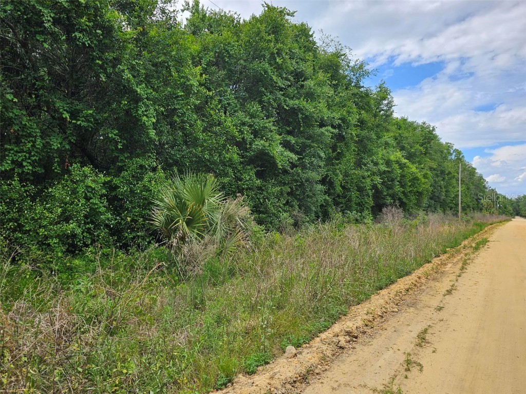 Violet Circle Interlachen FL 32148 GC513058 image1