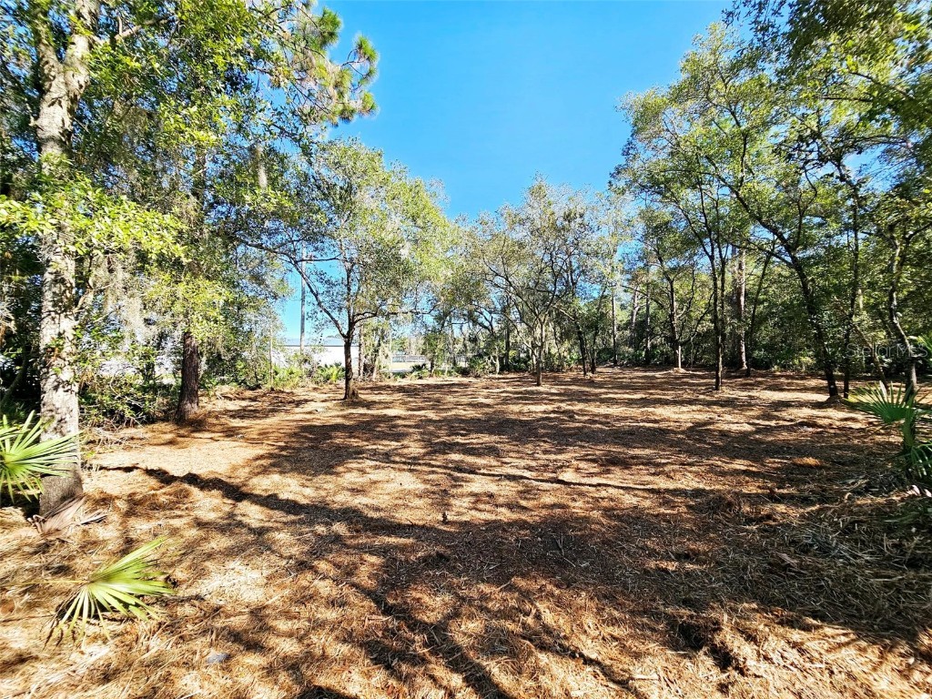 Violet Circle Interlachen FL 32148 GC517542 image1